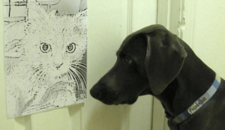 Screen Shot 2016-01-11 at 15.01.22